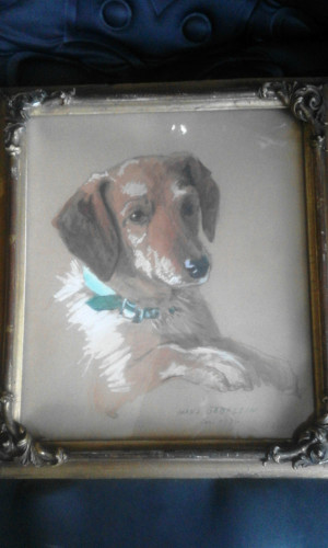 “BAUXI” nevű kutya portréja
